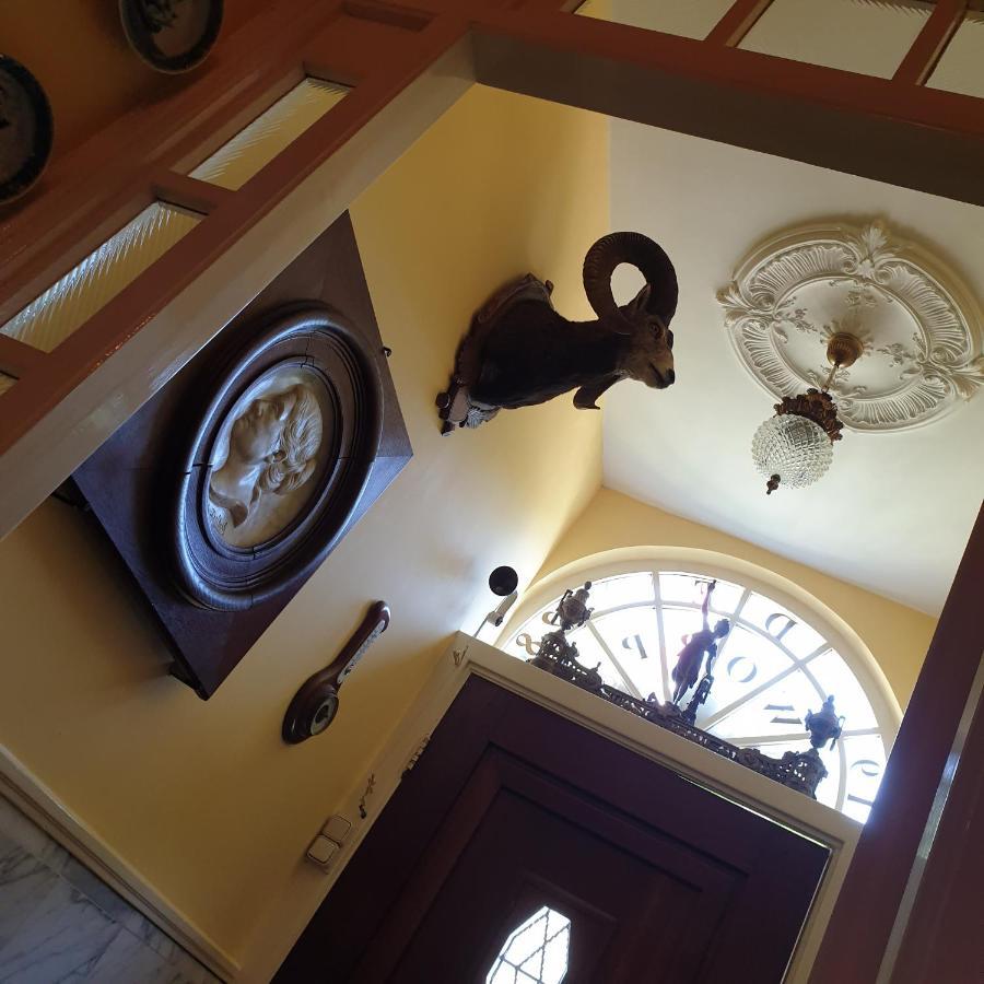 Deventer Heritage En Boutique B&B Museumhuis Huize "De Worp" Luaran gambar