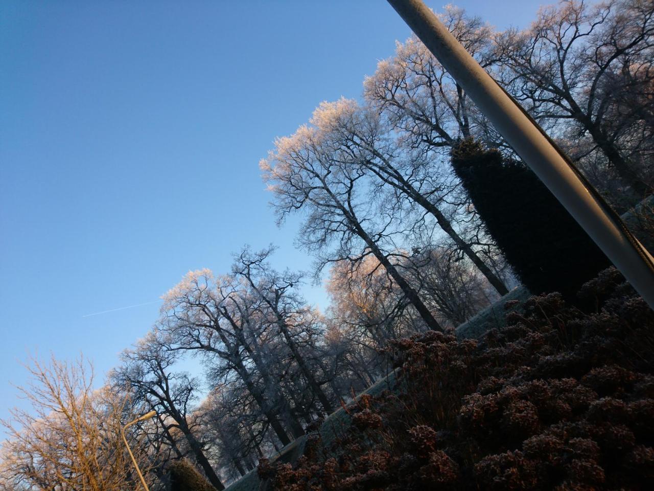 Deventer Heritage En Boutique B&B Museumhuis Huize "De Worp" Luaran gambar